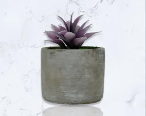 Cement Cylinder Moss & Succulent Centerpiece