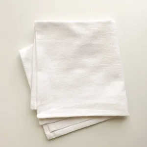 Flour Sack Dish Towels (set of two, 27" x 27")