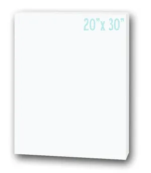 Project Board, Foam 20" x 30" (25/unit), #20300